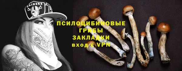 трава Абдулино